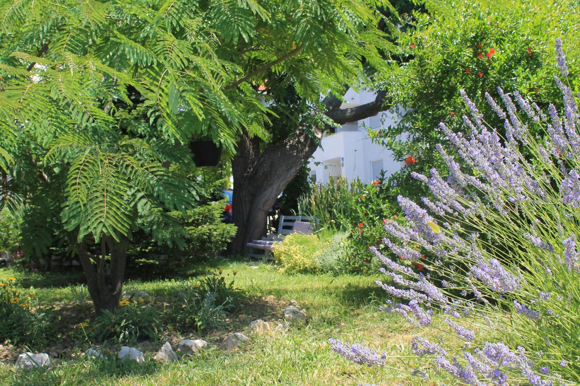 Apartments 501 - Rab Island Oasis Retreat Supetarska Draga Extérieur photo