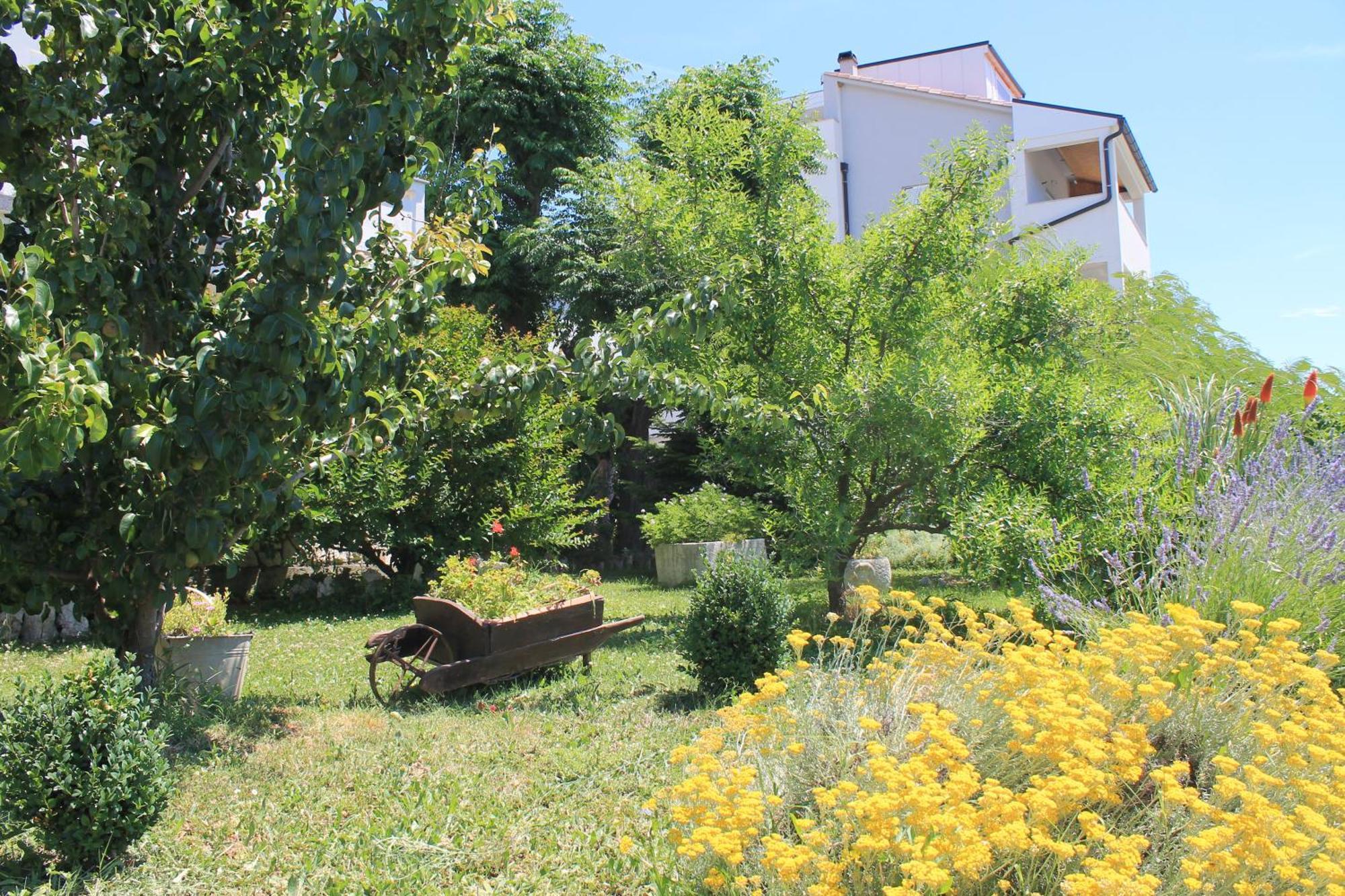 Apartments 501 - Rab Island Oasis Retreat Supetarska Draga Extérieur photo