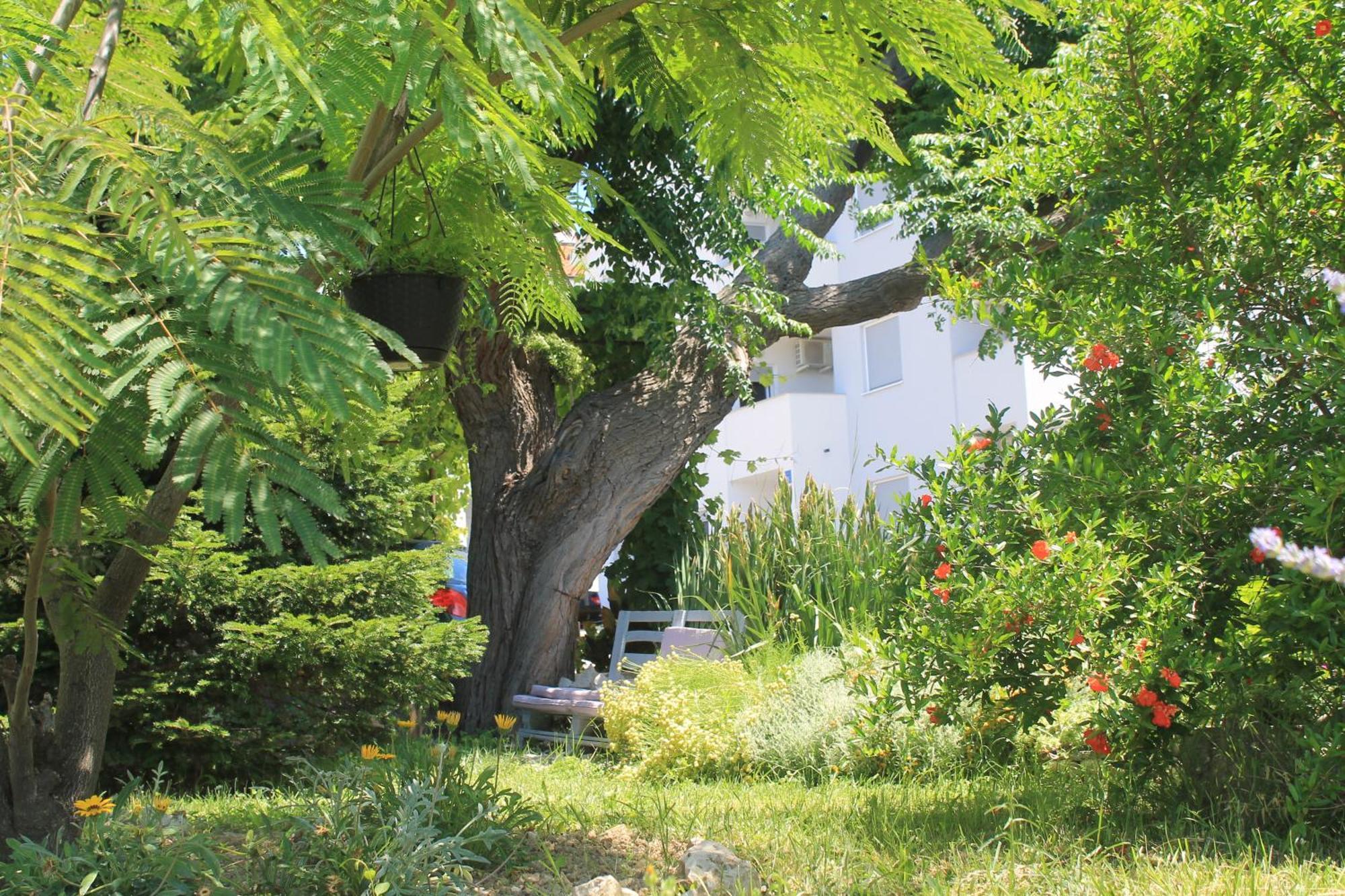 Apartments 501 - Rab Island Oasis Retreat Supetarska Draga Extérieur photo