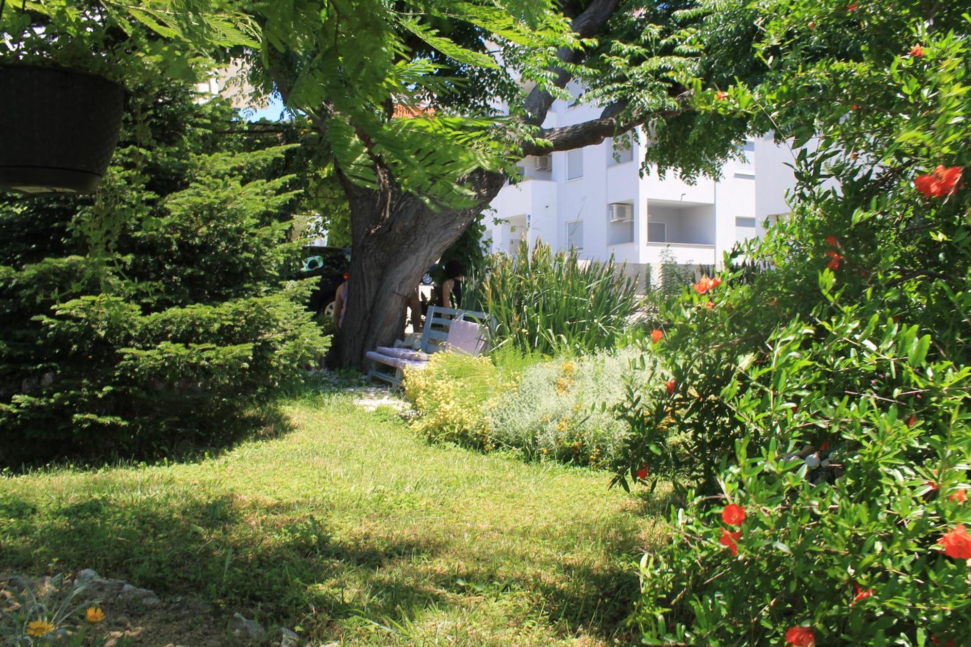 Apartments 501 - Rab Island Oasis Retreat Supetarska Draga Extérieur photo