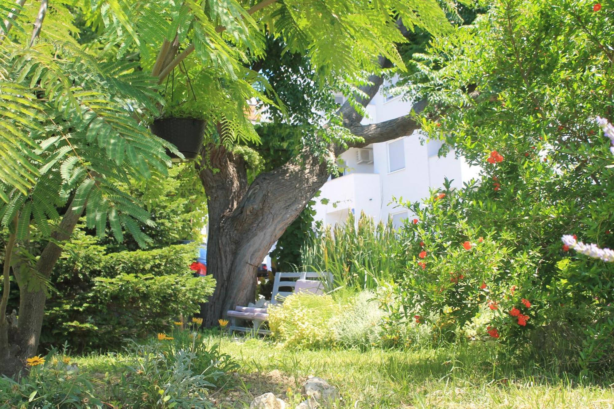 Apartments 501 - Rab Island Oasis Retreat Supetarska Draga Extérieur photo