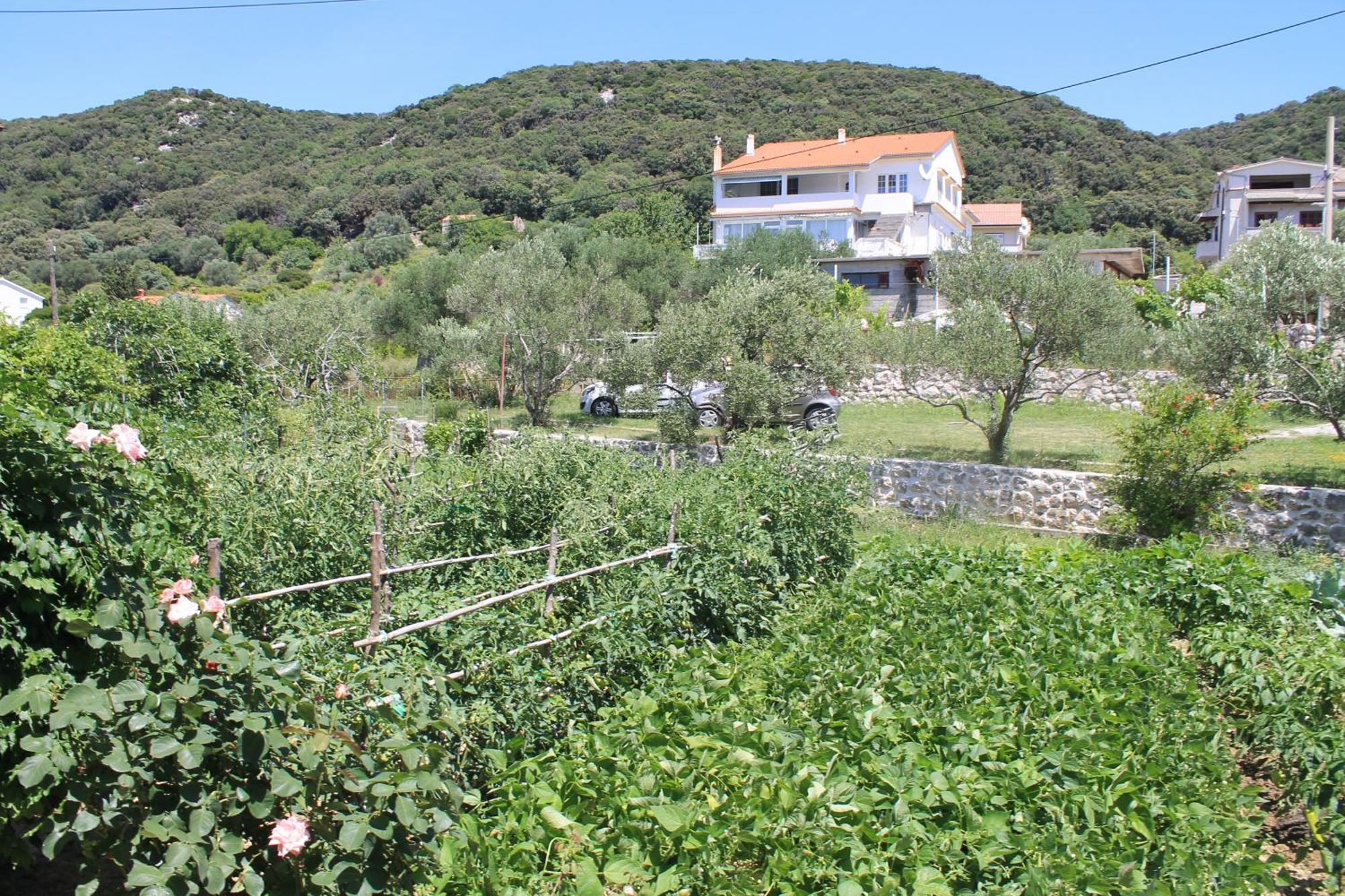 Apartments 501 - Rab Island Oasis Retreat Supetarska Draga Extérieur photo