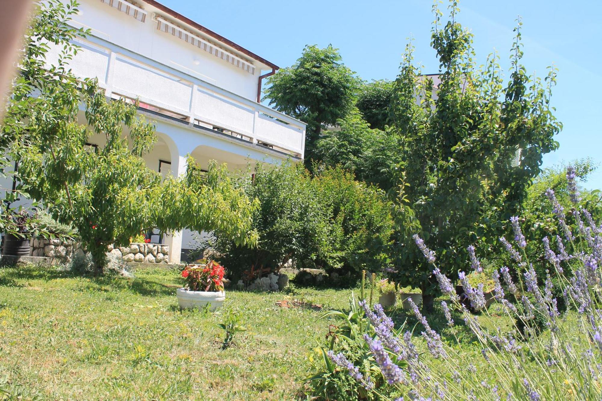 Apartments 501 - Rab Island Oasis Retreat Supetarska Draga Extérieur photo