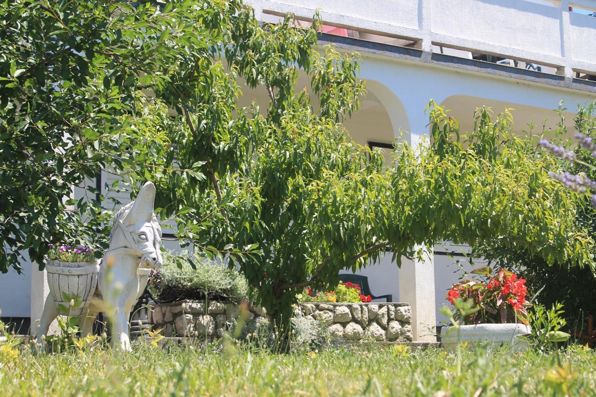 Apartments 501 - Rab Island Oasis Retreat Supetarska Draga Extérieur photo